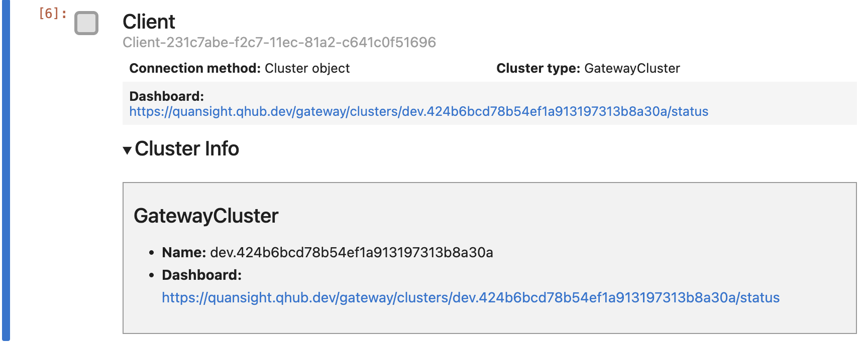 Nebari - Dask client UI showing details of the newly created Dask cluster 